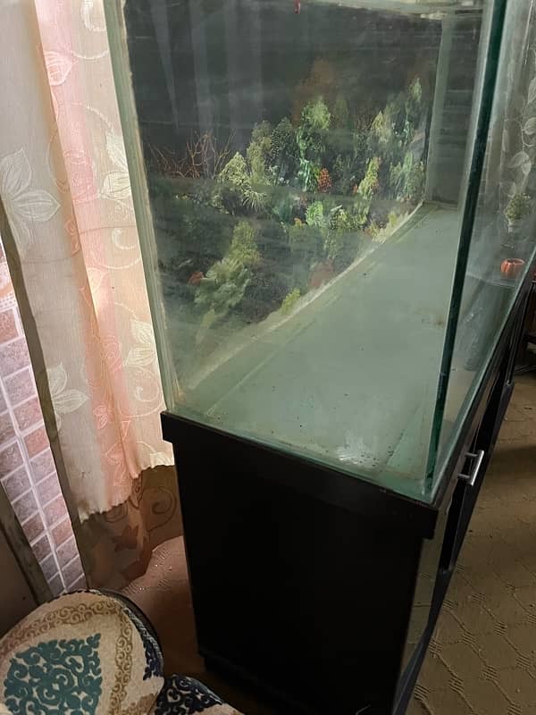 full size fish aquarium 4