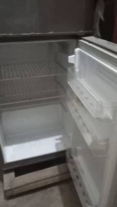 Pel medium size fridge