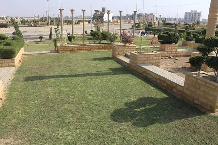 Excellent 200 SY Residential Plot in Falaknaz Dream 1