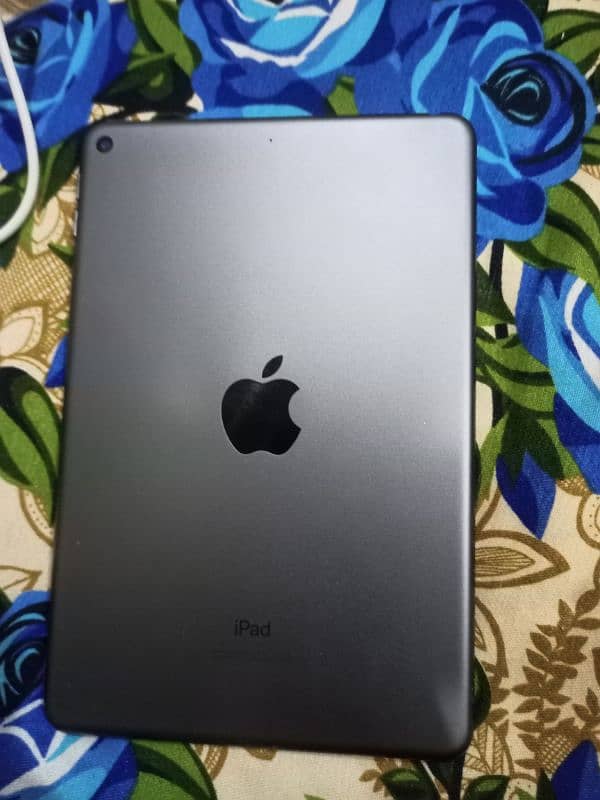 ipad mini 5 2