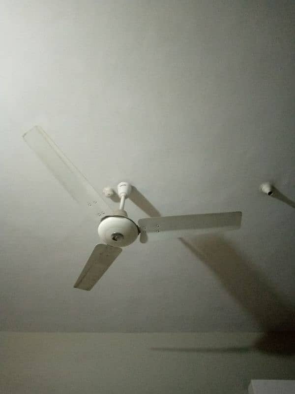 ceiling fans 0