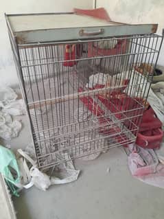 cage for urgent sale