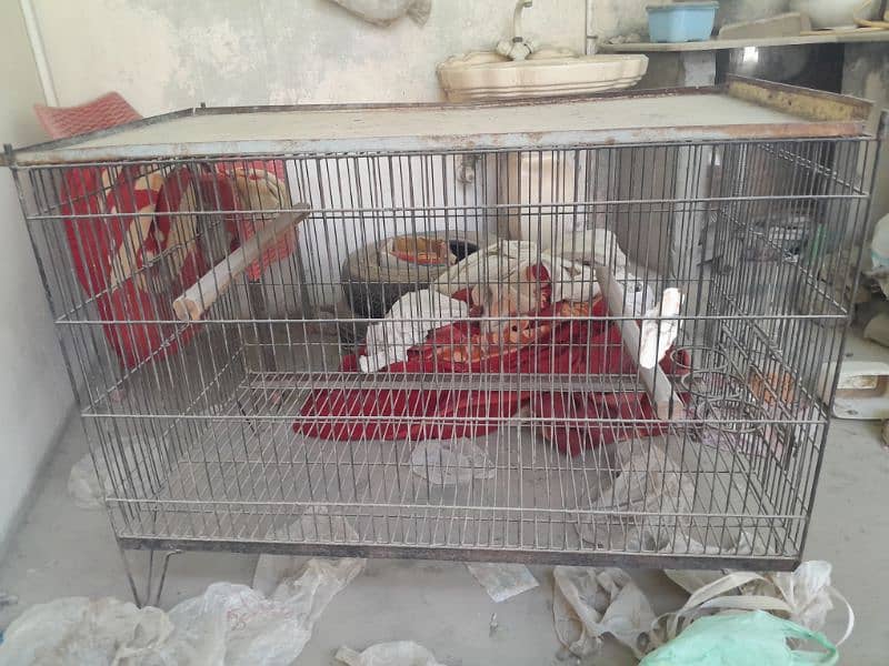 cage for urgent sale 1