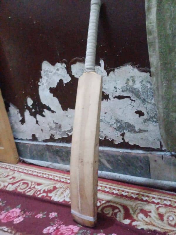 CRICKET BAT FOR SELL . . . A GOOD VARIETY DISCOUNT HOGA 0