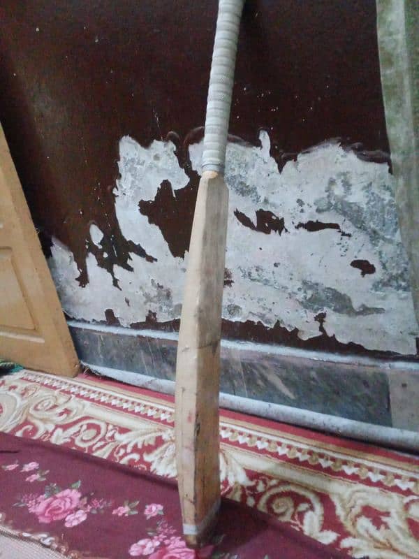 CRICKET BAT FOR SELL . . . A GOOD VARIETY DISCOUNT HOGA 1