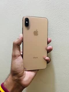 XS MAX 256gb