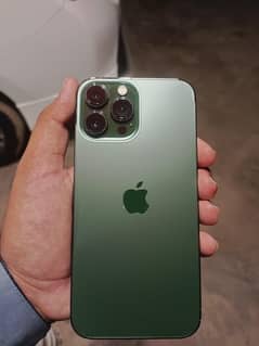 iPhone 13 pro max