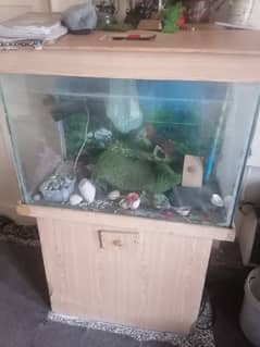 fish aquarium full size with all accesories