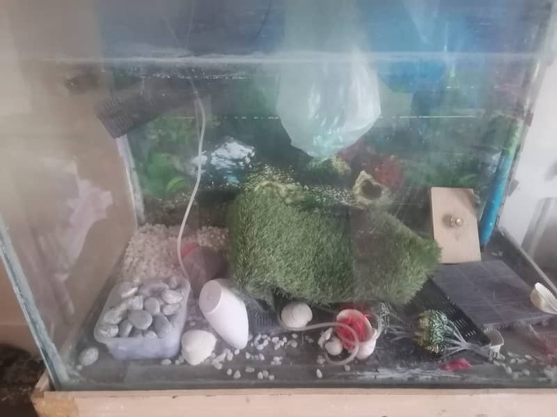 fish aquarium full size with all accesories 1