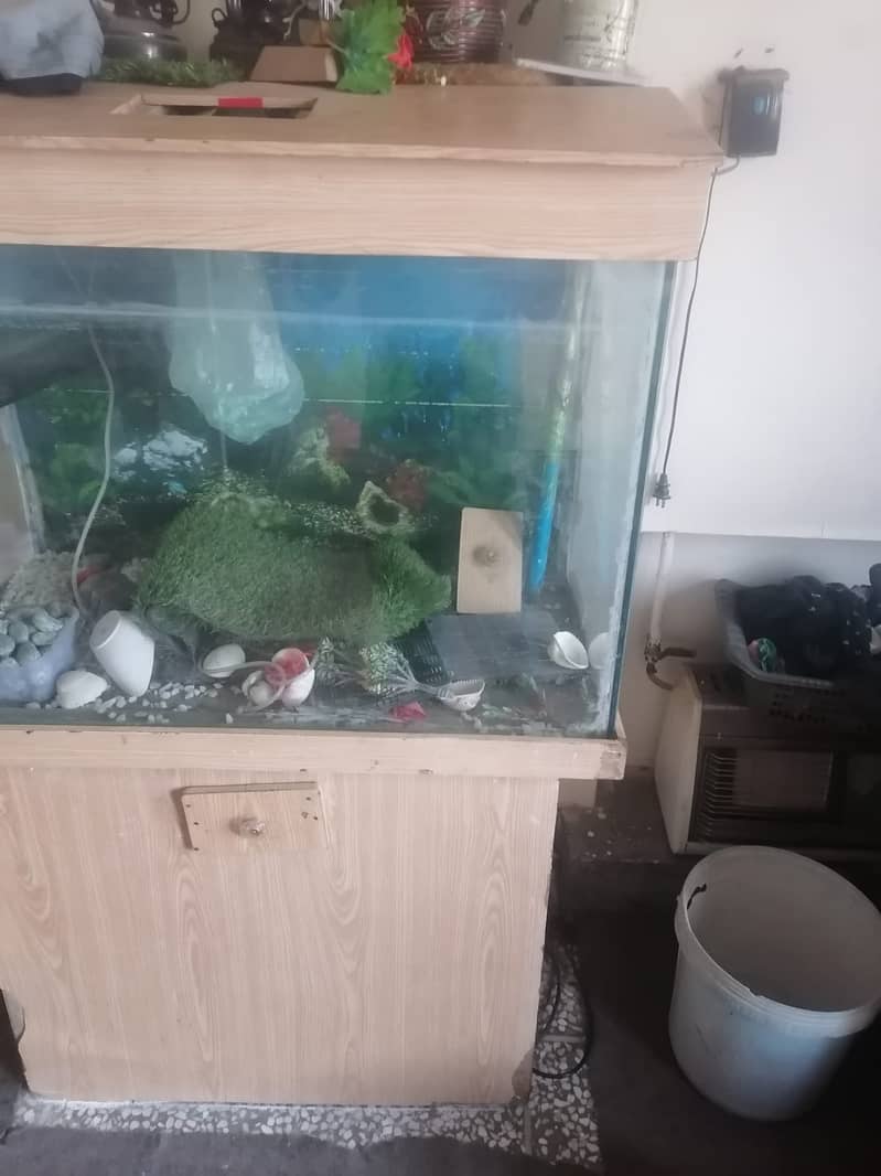 fish aquarium full size with all accesories 2