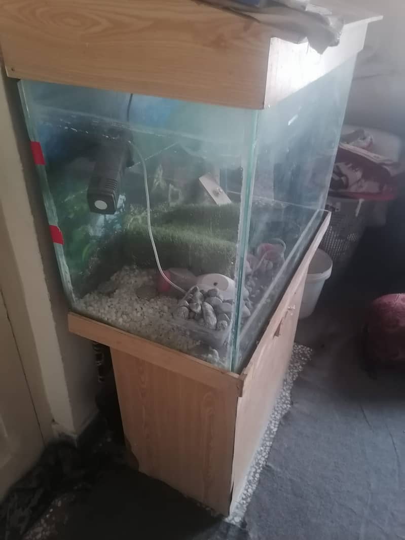 fish aquarium full size with all accesories 3