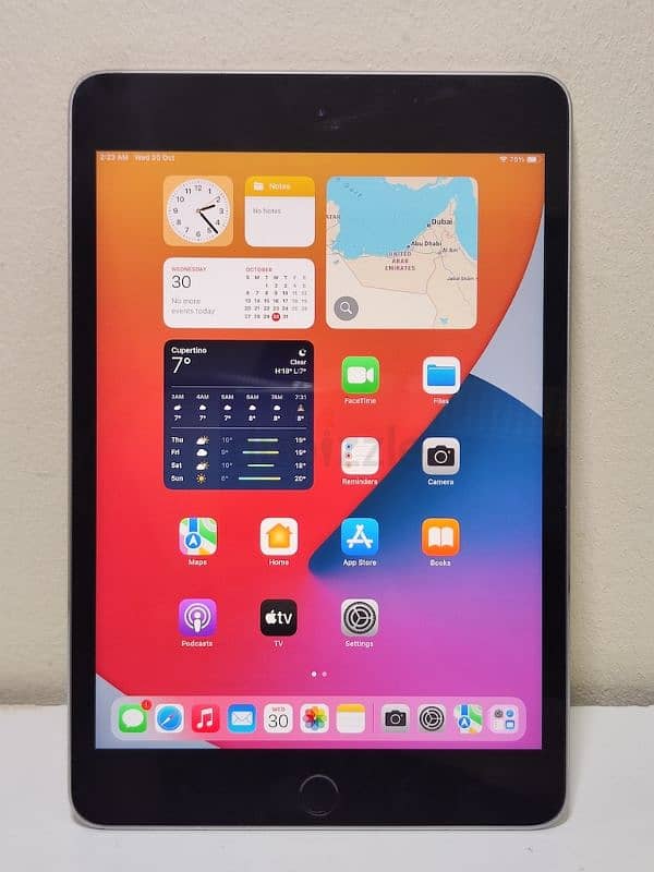 Apple iPad mini 4 PUBG King finger id Working 128Gb(Exchange possible 0