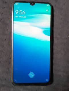 vivo