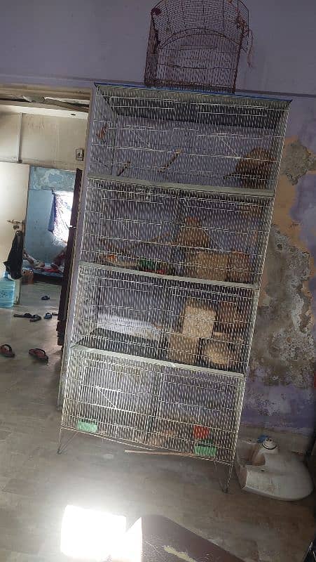 cage for sale 0