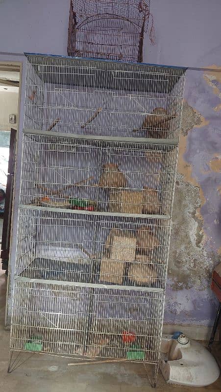 cage for sale 1