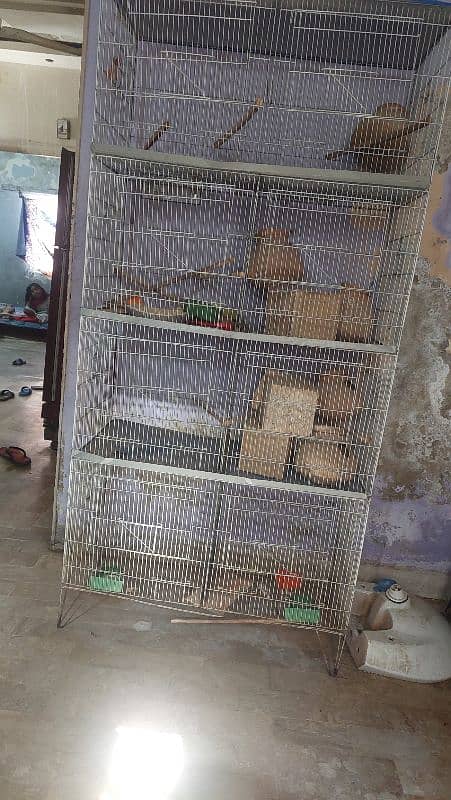 cage for sale 2