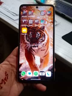 vivo Y19s