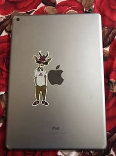 ipad 5th generation