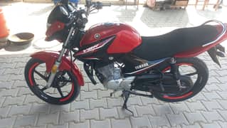 Yamaha YBR 125  ( Model 2022) Total GENIUN