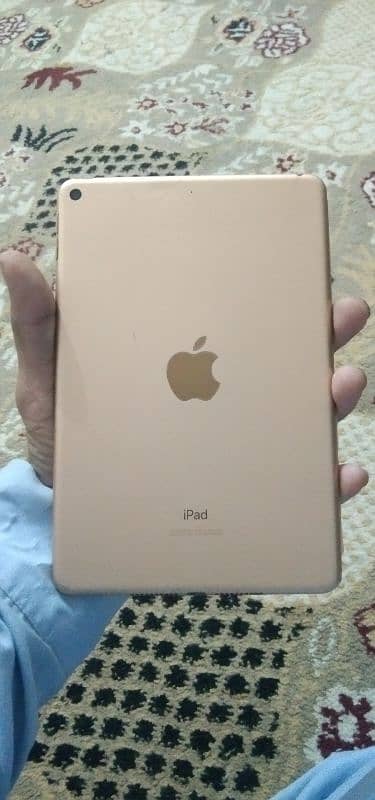 iPad Mini 5 0