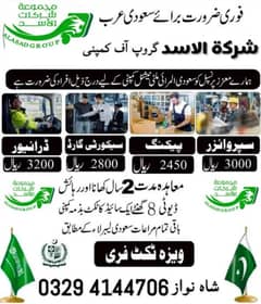 Saudi Arabia jobs available