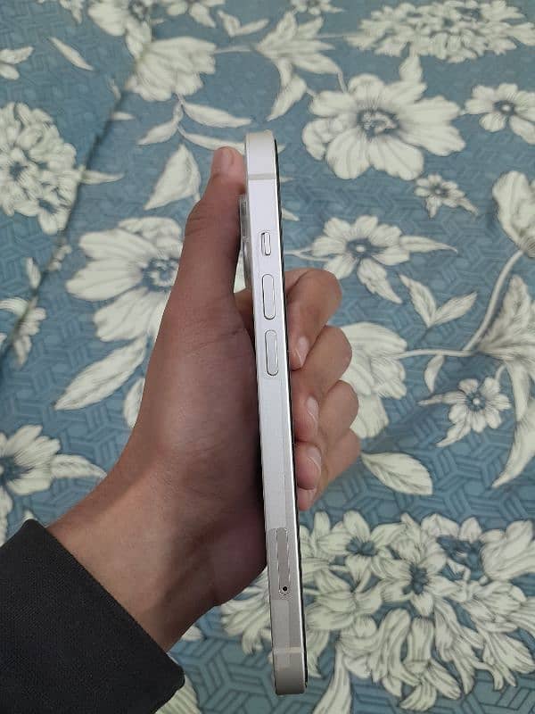 iphone 13 white colour 3