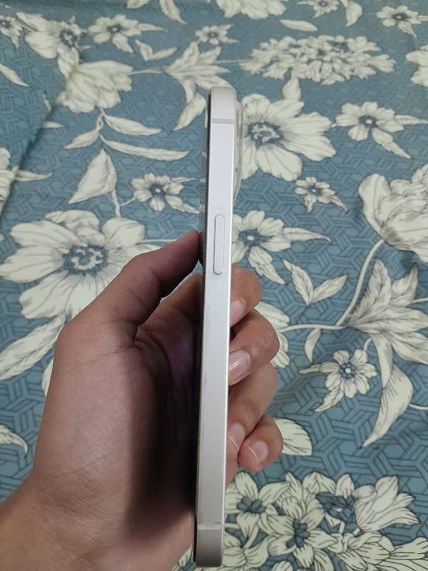 iphone 13 white colour 4