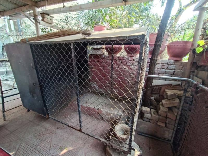 Dog big size cage 3