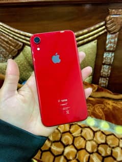 Iphone XR non pta