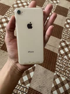 Iphone 8 Pta Approved