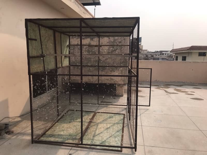 Birds/pigeon cage 0