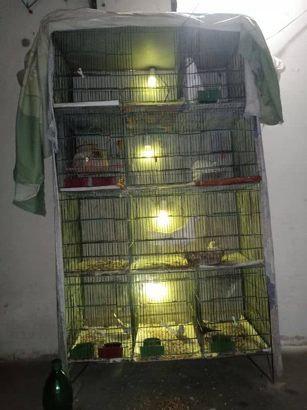 Cage For Sale 12 Portion Cage 1