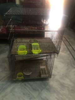 cage for sell