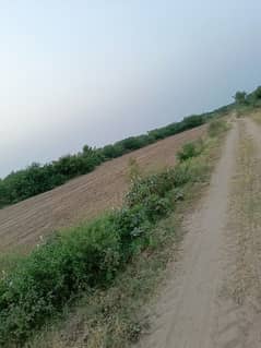 129 Knal Agricultural Land For Sale In Kallar Kahar Road Chakwal