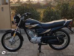 Yamaha YB125Z 2019 Sahiwal Registered for sale