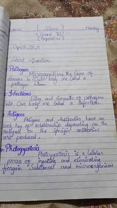 handwriting work