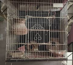 animal cage/pinjra