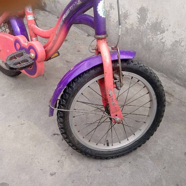 importid Bicycle selling baby 3