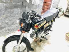 Union Star 70cc 2023