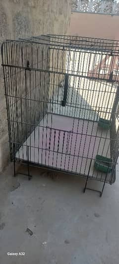 cage for sale bikul new jasa he hy ek pair aram say ajae ga Pahari ka