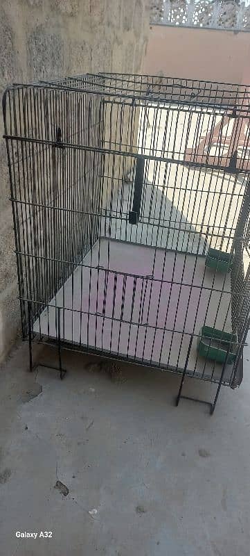 cage for sale bikul new jasa he hy ek pair aram say ajae ga Pahari ka 0