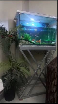 Aquarium for sale