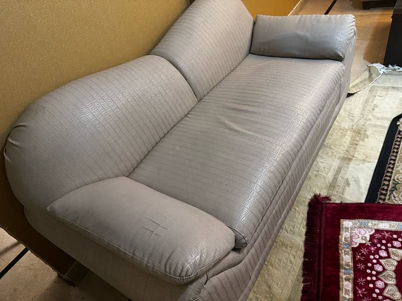 Sofa cum bed 1