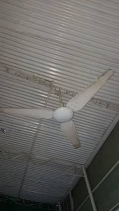 Ceiling Fan