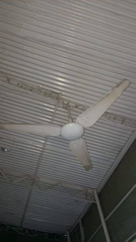 Ceiling Fan 0