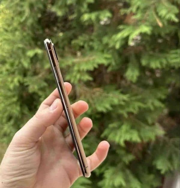 iPhone Xs Max Golden All Ok 2