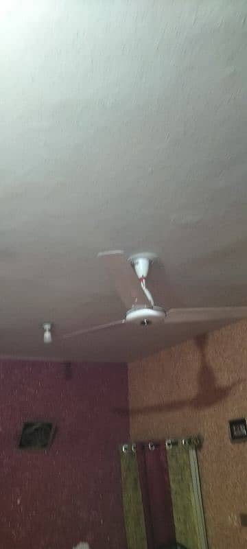 ceiling fan 1