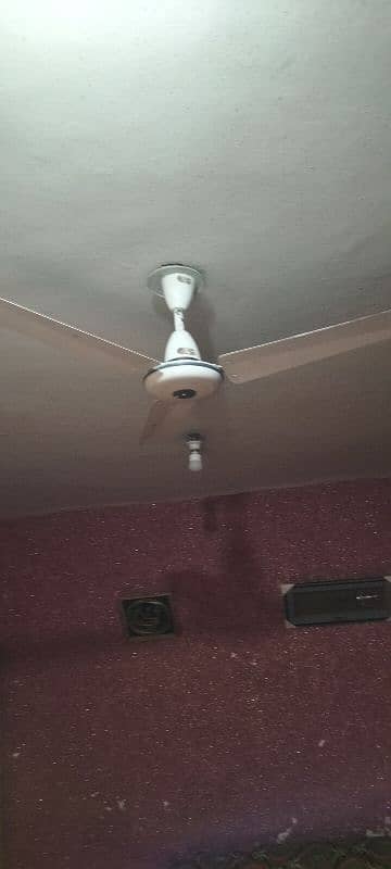 ceiling fan 4