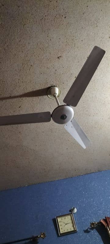 ceiling fan 5