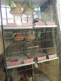 6portion cage for sale